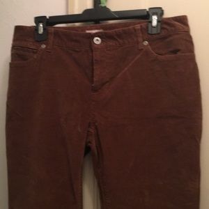 J. Jill Slim Leg Velveteen Pants Mocha